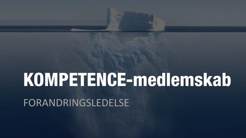 Ledelsesanalyse