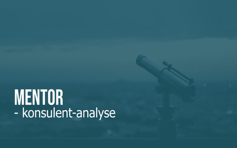 Konsulent-analyse