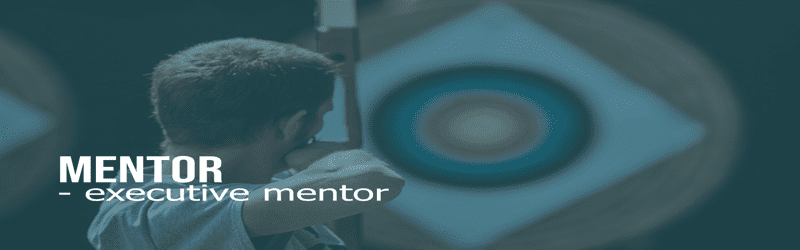 Executive Mentor
